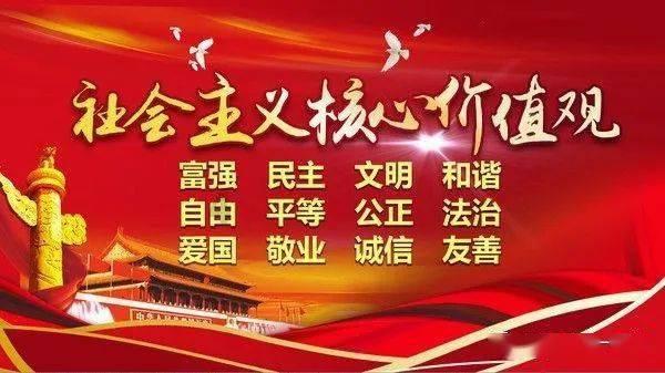 铲屎官在一旁看猫咪的影片,两只狗子发现后反应太神奇了…