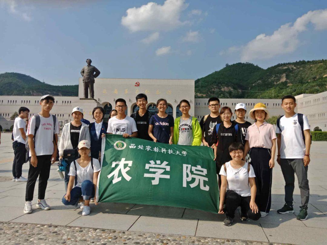 万事如意新年贺岁龙年海报背景素材
