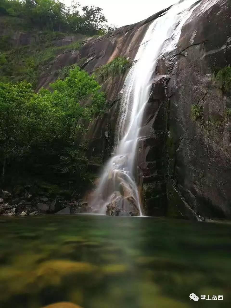 救援受困的老虎