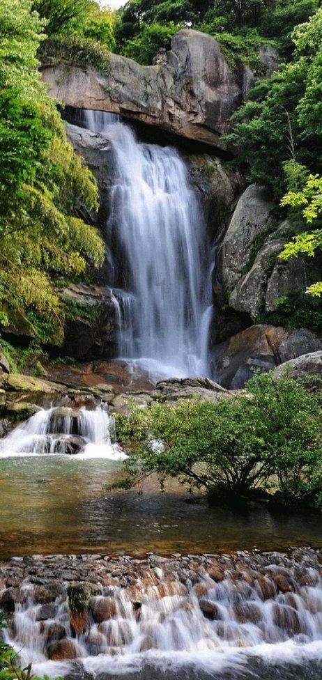 虫虫助手下载