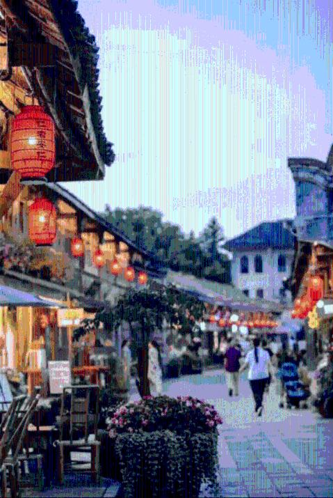 动物帮帮忙保卫家园