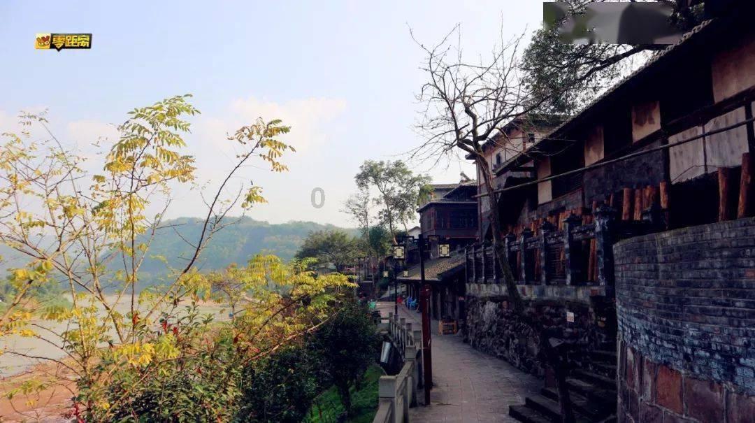 网友每天和邻居家阿拉斯加暗号接头,网友:两只单身狗的灵魂对谈